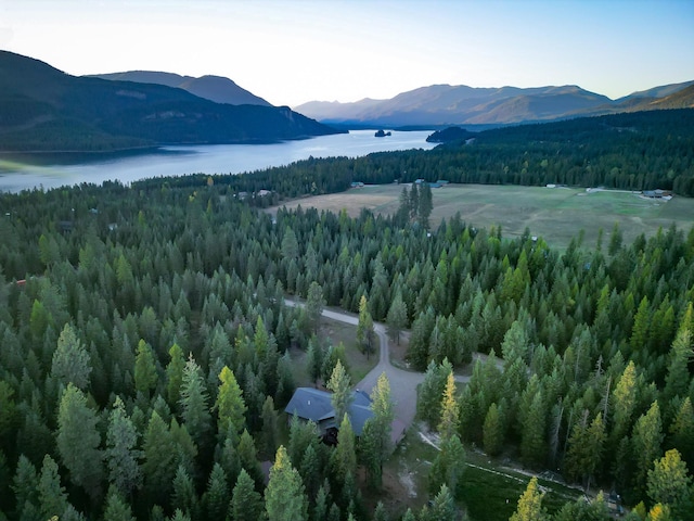 44 Copper Ridge Rd, Trout Creek, MT 59874 - aerial view with a wooded view and a water and mountain view