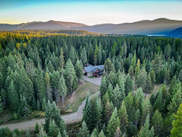 aerial view at dusk with a mountain view