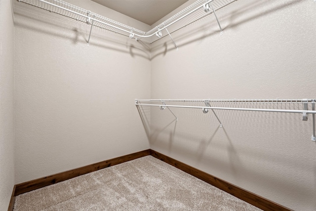 walk in closet featuring carpet floors