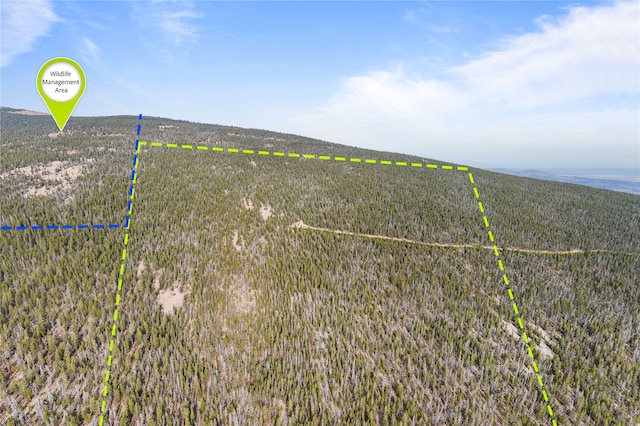 TBD Rosa Trail, Anaconda MT, 59711 land for sale