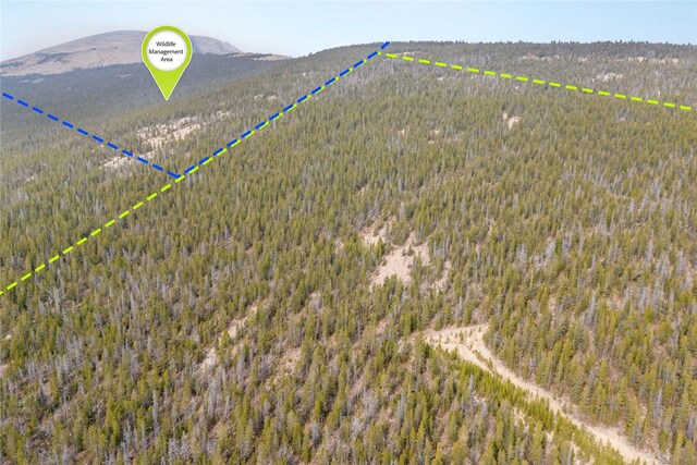 TBD Rosa Trail, Anaconda, MT 59711