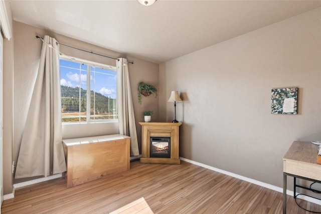 28 W Ashley Hills Dr, Kalispell, MT 59901 - living area featuring light wood-type flooring, a glass covered fireplace, and baseboards