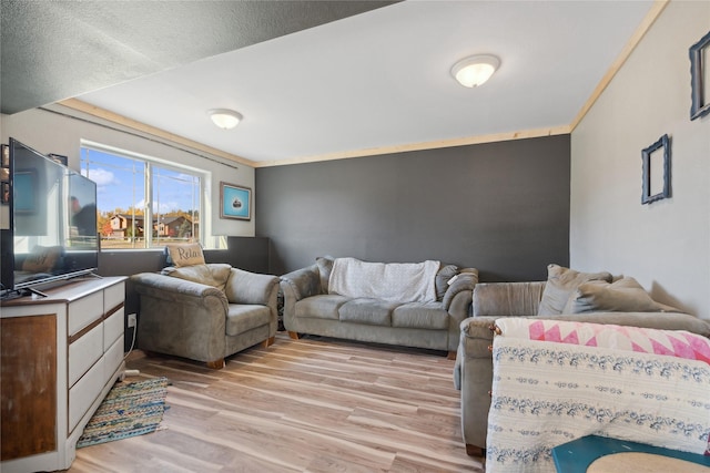 28 W Ashley Hills Dr, Kalispell, MT 59901 - living area featuring light wood-style flooring