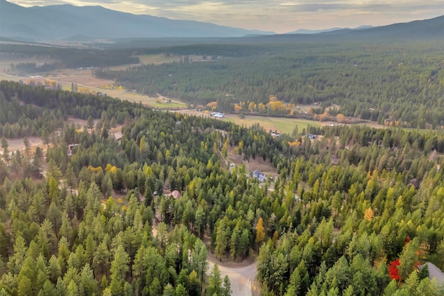 aerial view featuring a mountain view