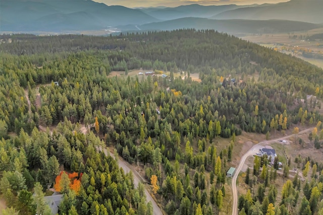 birds eye view of property featuring a mountain view