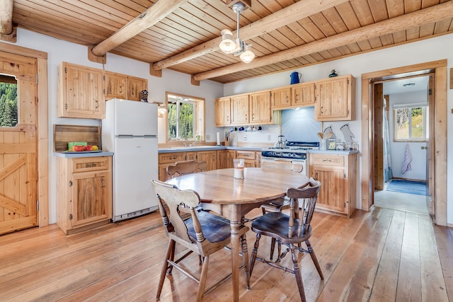 kitchen with hanging light fixtures, plenty of natural light, light hardwood / wood-style floors, and white appliances