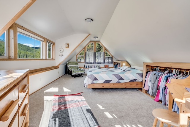 carpeted bedroom featuring lofted ceiling