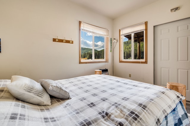 bedroom with a closet