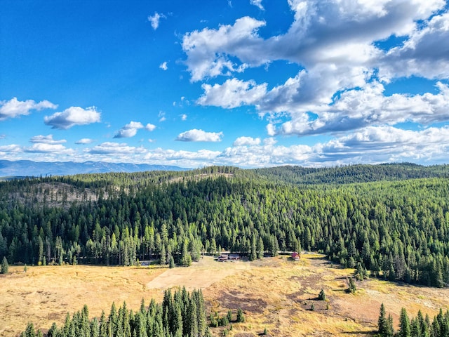 drone / aerial view featuring a mountain view