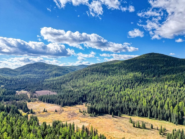 view of mountain feature