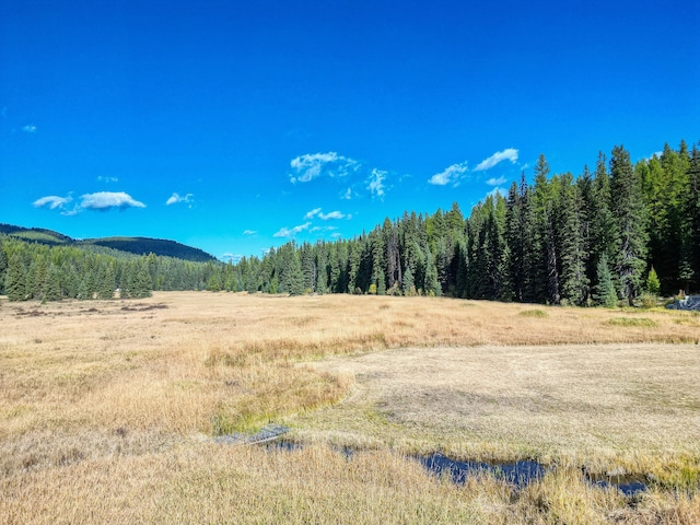 view of mountain feature