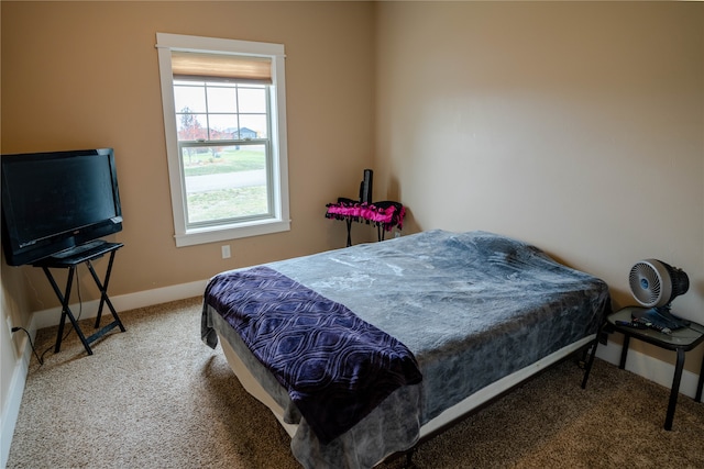 bedroom featuring carpet