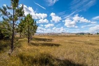 view of landscape with a rural view