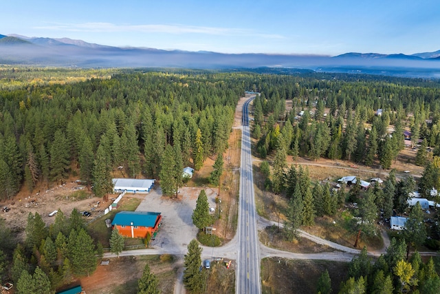 bird's eye view with a mountain view