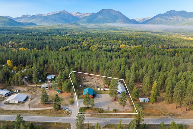 birds eye view of property with a mountain view