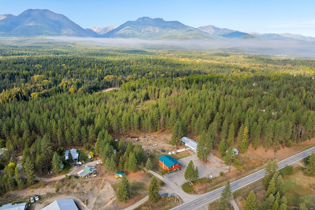 drone / aerial view featuring a mountain view