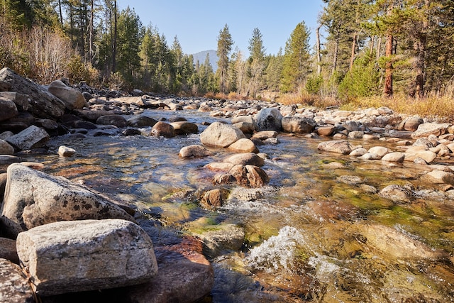 view of nature