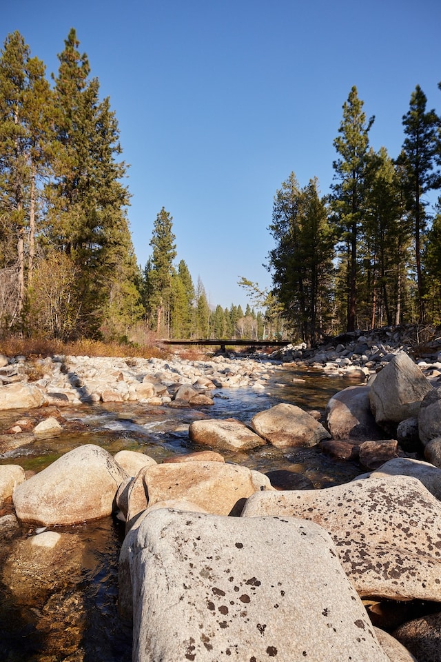 view of nature