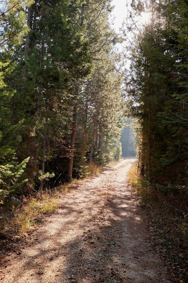 view of road