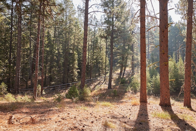 view of local wilderness