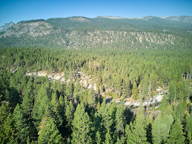 drone / aerial view featuring a mountain view