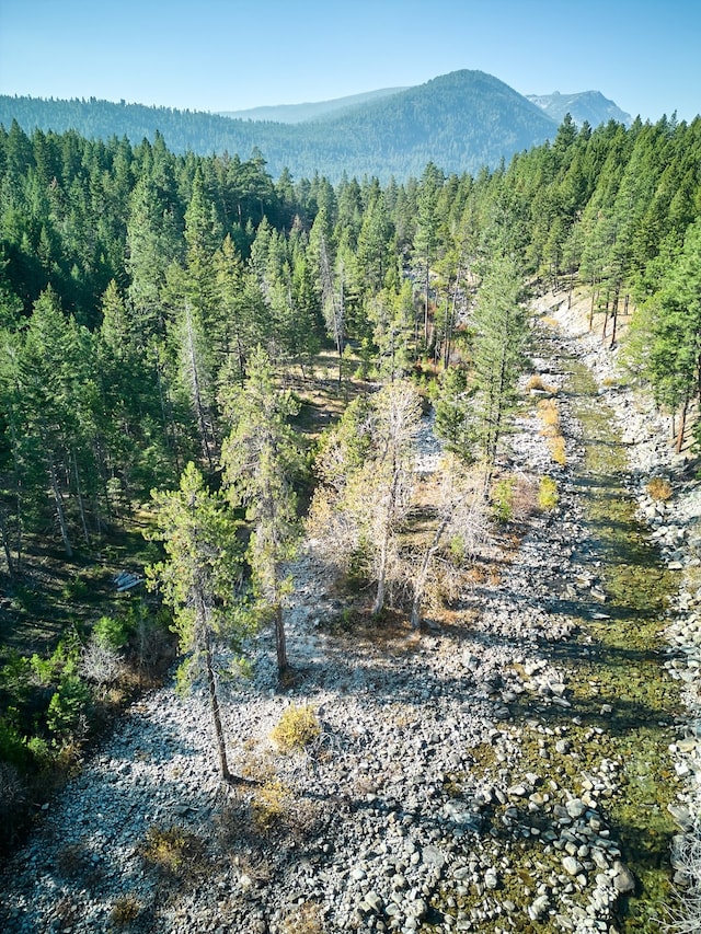 view of mountain feature