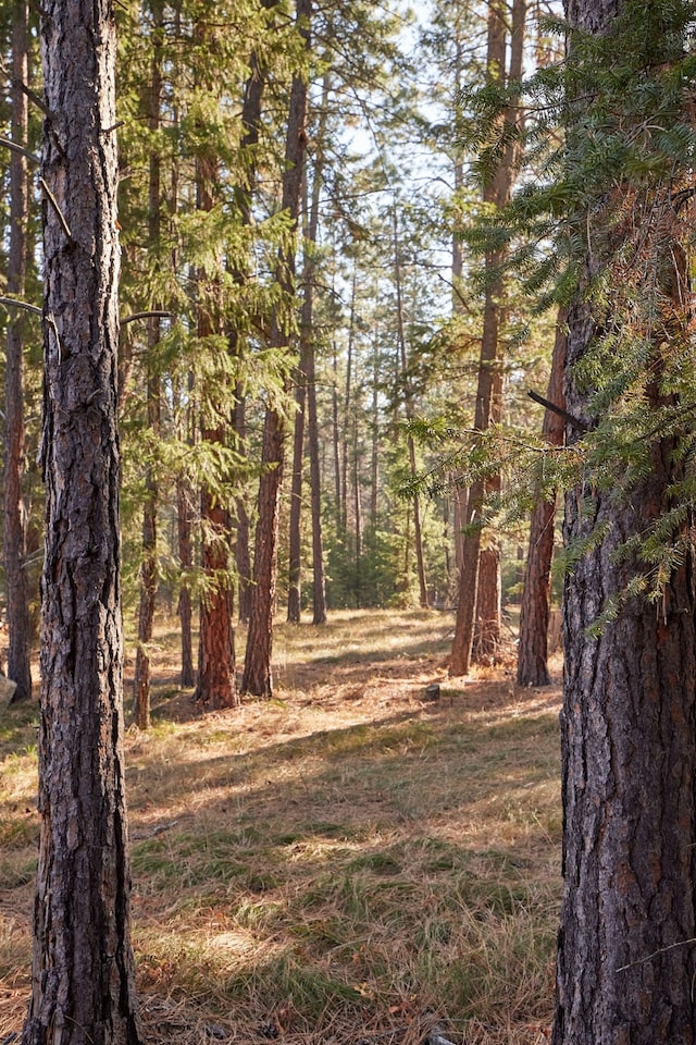 view of landscape