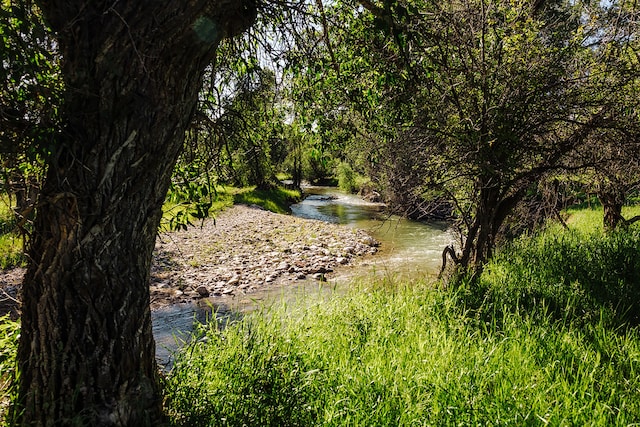 view of landscape