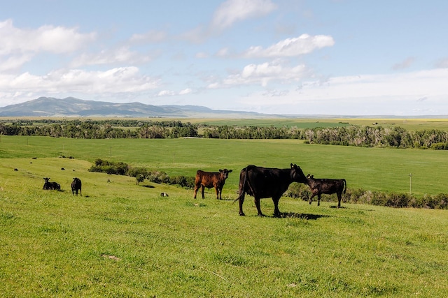 6058 Cottonwood Creek Rd, Lewistown, MT 59457 - mountain view with agricultural land and rural landscape