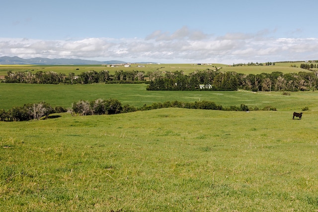 view of nature with a rural view