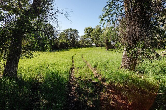 6058 Cottonwood Creek Rd, Lewistown, MT 59457 - view of local wilderness