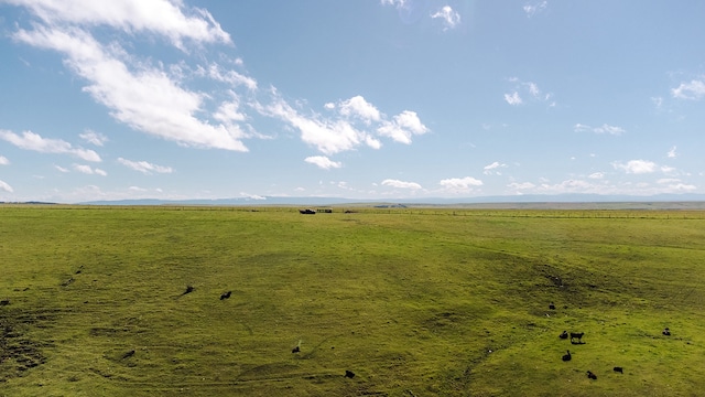 view of local wilderness with a rural view