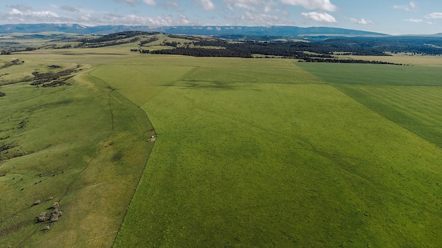 birds eye view of property with a rural view and a mountain view