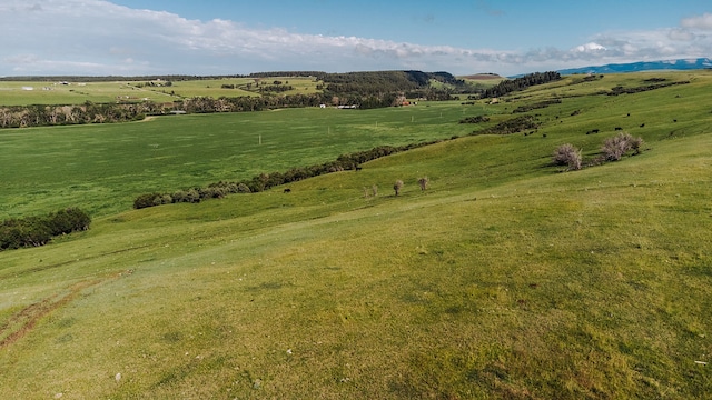 bird's eye view with a rural view