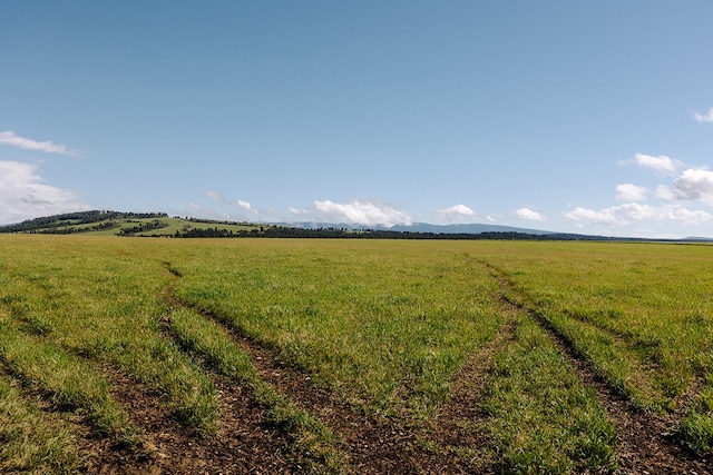 view of local wilderness with a rural view