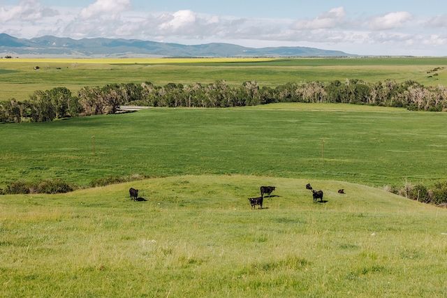 property view of mountains with a rural view