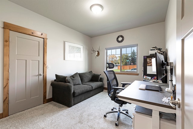 office with carpet floors