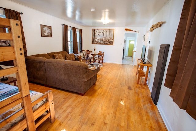 living room featuring light hardwood / wood-style floors