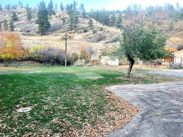 view of yard with a rural view