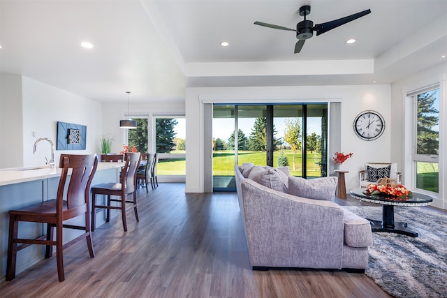 living room featuring dark wood-type flooring, ceiling fan, and sink