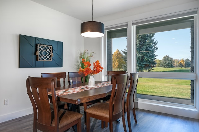 dining room with dark hardwood / wood-style flooring