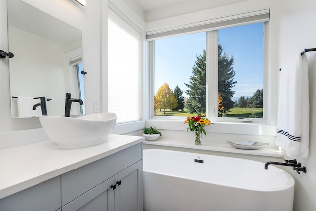 bathroom with vanity, plenty of natural light, and a bathing tub