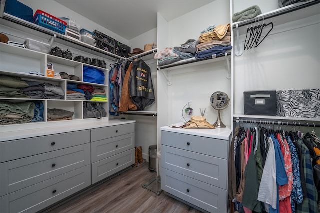 spacious closet with dark wood-type flooring