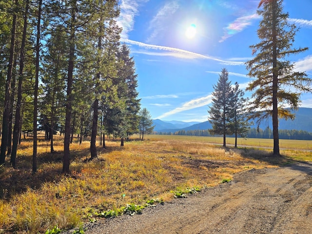 19 Faro Ln, Trout Creek, MT 59874