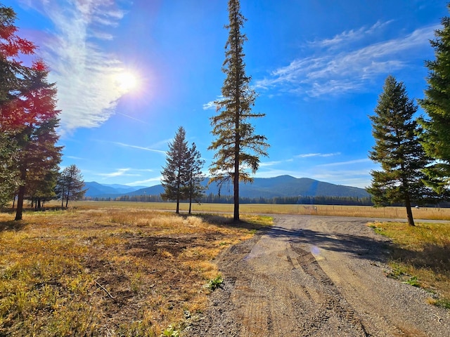 19 Faro Ln, Trout Creek, MT 59874
