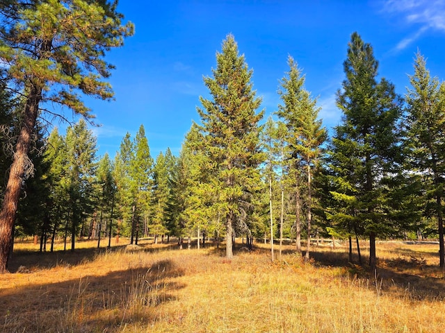 19 Faro Ln, Trout Creek, MT 59874