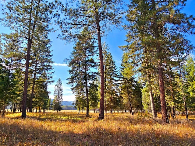 19 Faro Ln, Trout Creek, MT 59874