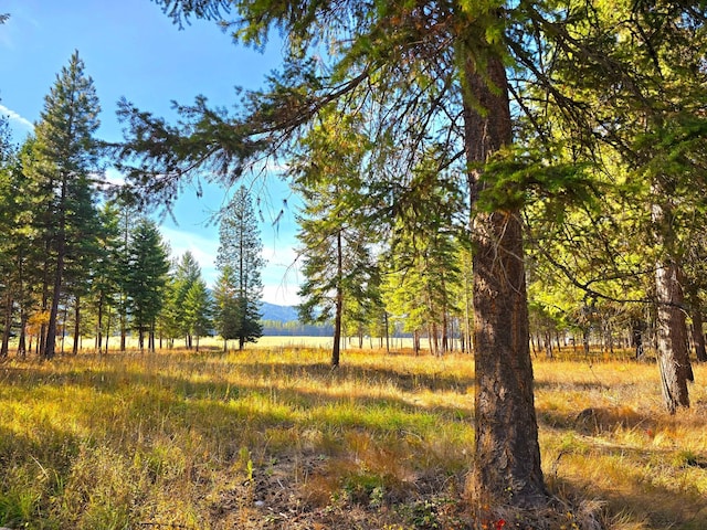 19 Faro Ln, Trout Creek, MT 59874