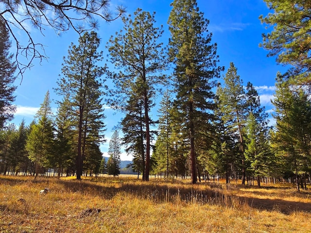 19 Faro Ln, Trout Creek, MT 59874