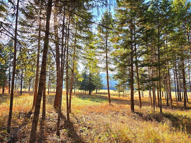 19 Faro Ln, Trout Creek, MT 59874